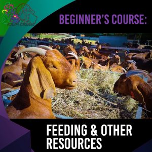 Beginners course: 1.4 feeding and other resources (52.04)