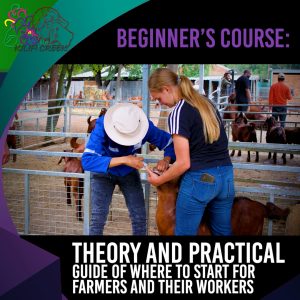 Beginners Course – Full Access