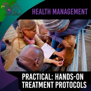 Practical Intervention: Hands-On Treatment Protocols (Antoinette Dry & Nico) (00.48.49)