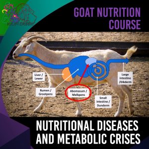 2.2 Nutritional Diseases and Metabolic Crises (Dr. Nico du Preez) 00.54.42
