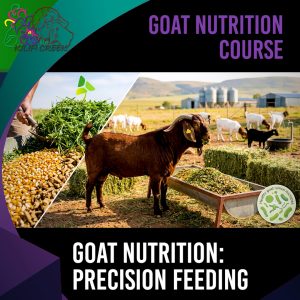 2.3 Mastering Goat Nutrition: Rations, Raw Materials, and Precision Feeding (Willie Rossouw) 00.48.00