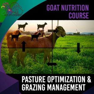 2.5 Pasture Optimization & Strategic Grazing Management (Wouter)