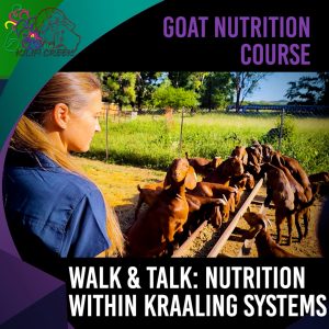 2.6 Walk & Talk: Hands-On feed and nutrition within a Kraaling system (Antoinette Dry) 00.19.50