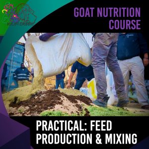 2.7 Practical Feed Production & Mixing (Willie Rossouw)