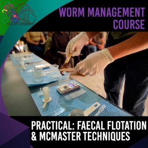 3.6 Practical Diagnostics: Faecal Flotation and McMaster Techniques (Nico du Preez) (+-15min)