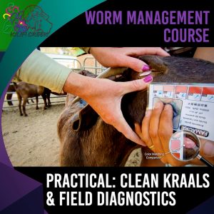 3.5 Practical Application: Kraal Cleaning & Field Diagnostics (Antoinette Dry) +-20min