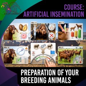 1.3 Preparation & Management of Your Breeding Animals (Antoinette Dry) (01.07.00)