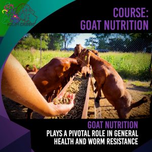 Full Goat Nutrition Course